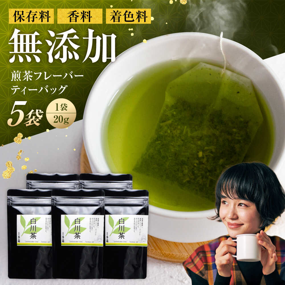 【ふるさと納税】香る 煎茶フレーバー ティーバッグ 5袋セット お茶 国産 岐阜 白川町 / 菊之園[AWAG004]
