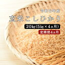 【ふるさと納税】令和6年産／お米定期便／4カ月 しまね川本 玄米 こしひかり5kg (計20kg） 島根県 川本町産 玄米 藤屋 石見米