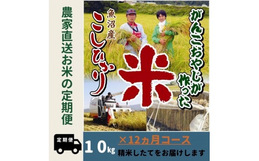 
            【令和７年産新米予約】12か月定期便　がんこおやじが作った南魚沼産コシヒカリ白米１０kg（５kg×２袋）【2025年10月20日頃より順次発送予定】
          