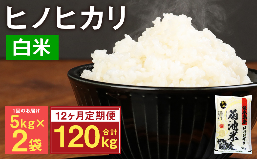 
            【12ヶ月定期便】熊本県菊池産 ヒノヒカリ 5kg×2袋×12回 計120kg 精米 お米 米 白米
          