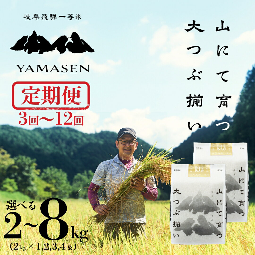 【ふるさと納税】新米予約受付【令和7年産米】【定期便】（2025年10月下旬頃から順次発送）すがたらいす 山仙 (いのちの壱) 選べる 2kg ～ 8kg 下呂市 金山産 2キロ 4キロ 6キロ 8キロ 米 2025年産 お米 精米 白米 いのちのいち やません ご飯 ごはん 農家直送 4kg 6kg 新米