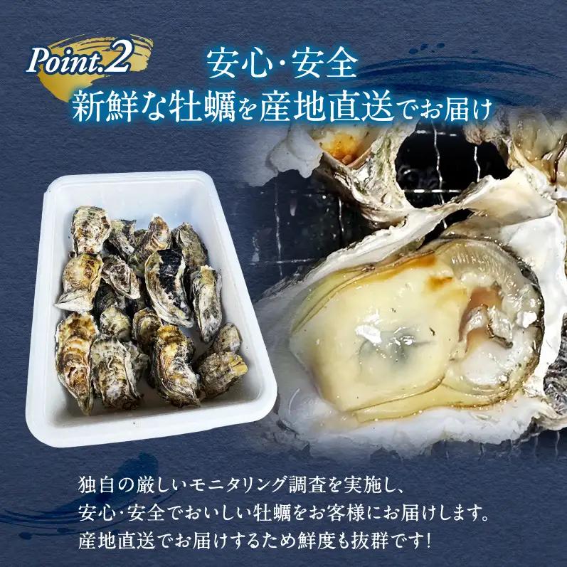 牡蠣 殻付き 3kg 加熱用 先行予約 生 牡蠣