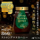 【ふるさと納税】【実測値MGO937】ストロング マヌカハニー 500g MGO 860+【1384682】