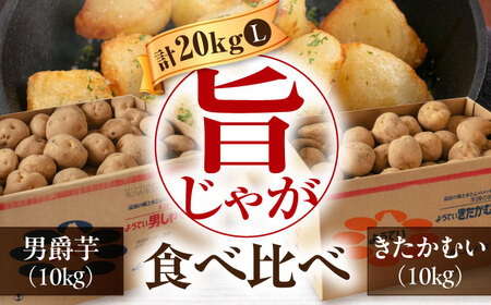 【2027年1月上旬以降順次発送】食べ比べセット 20kg ( 男爵芋 きたかむい 各10kg ) じゃがいも [AJAK015]