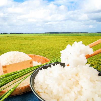 ふるさと納税 潮来市 潮来市産【令和7年産】特別栽培米コシヒカリ　玄米10kg