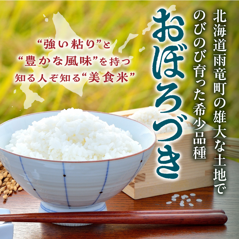 【定期便全4回】令和6年産 川越さんちの おぼろづき　10kg（5kg×2袋）毎月1回お届け 雨竜産 精米 定期便 10kg お米 お取り寄せ 北海道 雨竜町