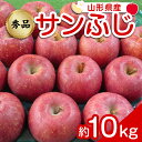 【ふるさと納税】 【令和6年産先行予約】 りんご 「サンふじ」 約10kg (24～46玉 秀品) 《令和6年12月上旬～令和7年2月下旬発送》 『カネタ高橋青果』 リンゴ 山形県 南陽市 [1961]