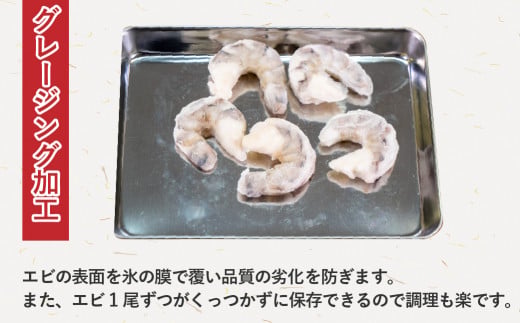 【 6ヶ月 定期便 】 むき えび ブラックタイガー 1.2kg x 6回 背ワタなし 保水剤無添加 冷凍 高級 下処理済 エビ 海老 人気 殻 むき 時短 特大 大型 大容量 無保水