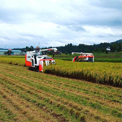 ふるさと納税 三条市 先行受付 コシヒカリ 5kg 新潟県三条市下田産こしひかり 令和7年産 【010S180】 |  | 03