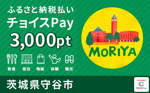 
守谷市チョイスPay 3,000pt（1pt＝1円）【会員限定のお礼の品】
