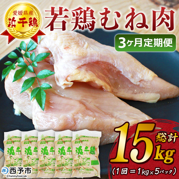 ＜【3ヶ月定期便】銘柄鶏 浜千鶏 愛媛県産 若鶏むね肉 5kg（1kg×5）＞ 国産 鶏肉 大容量 業務用 家庭用 鳥肉 とり チキン ムネ はまちどり 精肉 塊 ブロック 定期便 産地直送 マルハフーズ株式会社 愛媛県 西予市