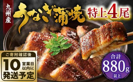九州産 うなぎ 蒲焼 特上4尾 計880g以上 (1尾あたり220～235g)【順次発送】