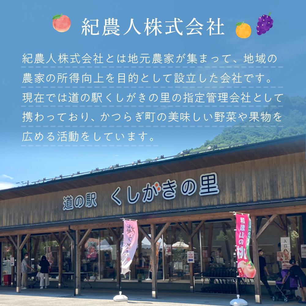 桃 極上秀品 食べきりやすい3個入［先行予約］［2027年7月下旬頃より順次発送］こだわり農家厳選！［KG18］ 	XM90018