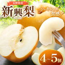 【ふるさと納税】 木島平村産 新興梨 4～5個入り | 果物 フルーツ fruits 梨 なし 木島平村 長野県 信州 北信州