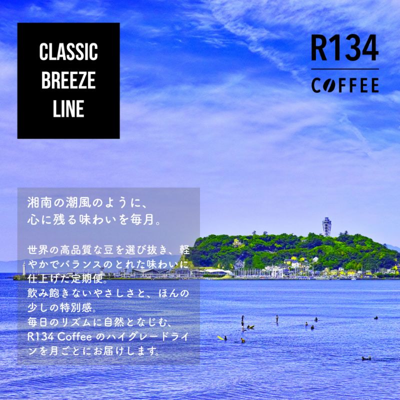 【ふるさと納税】R134 COFFEE / コーヒー / Classic Breeze Line / High / 100g 豆 x 2種 / 3ヶ月連続定期便