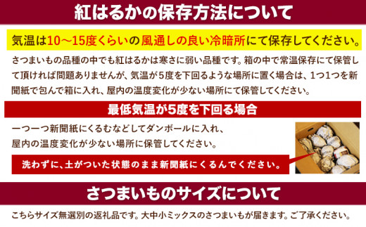 タカハマ観光農園 の 紅はるか 約3kg 《12月中旬-4月末頃出荷》---so_tkhmbni_bc124_24_7500_3kg---