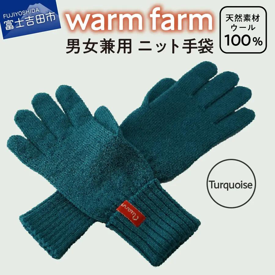 手袋 光吸収発熱ウール 「 ウォームファーム　ニット手袋 」 ターコイズ 暖かい ウール 発熱素材 レディース メンズ 秋 冬
