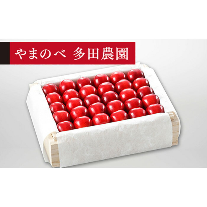 【ふるさと納税】≪2026年 先行予約≫さくらんぼ 特選「真夏のルビー紅姫」 桐箱詰 500g「やまのべ多田農園」 F2Y-1390