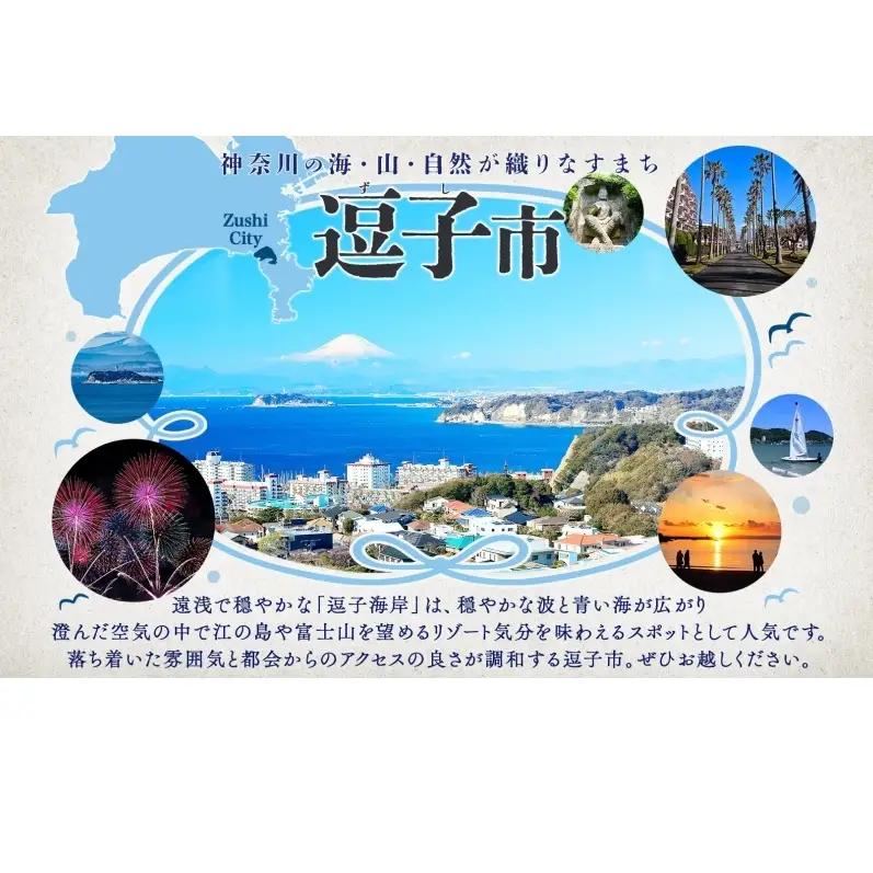 鎌倉彫 コースター 伝統工芸品 工芸品 伝統 彫刻 漆塗り 漆 雑貨 職人 漆器 食器 キッチン雑貨 茶器 贈り物 ギフト プレゼント お祝い 手作り ハンドメイド ティータイム 来客用 上品 和モダ