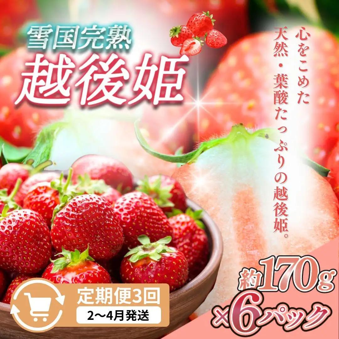 【先行予約 定期便3回】越後姫 いちご 雪国完熟 2〜4月 170g×6回 いちご