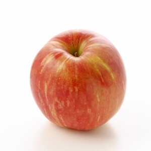 【11月上旬から順次発送】【先行予約】りんごサンふじ 5ｋｇ 訳あり | ふるさと納税 長野県 松本市 信州 季節限定 訳アリ サンふじ りんご