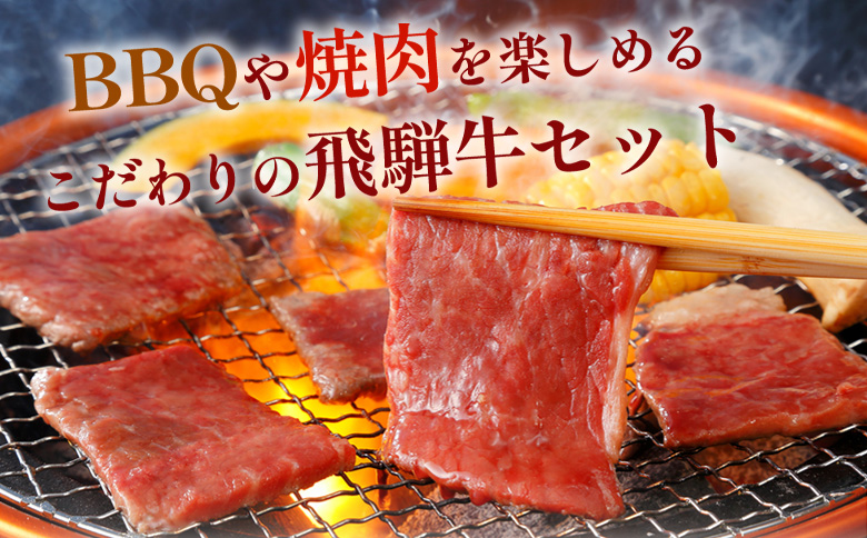 飛騨牛 BBQセット 計700g (カルビ300g＋もも・カタ焼肉用400g) A5 A4 国産 牛 冷凍 和牛 牛肉 カルビ もも モモ カタ 肩 かた 豪華 ギフト 贈答  にく お肉 肉 東白川