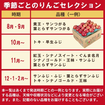 【発送月固定定期便】【25年9月〜26年2月】青森りんご 訳あり 品種おまかせ 3kg全6回【配送不可地域：離島・沖縄県】【4066842】