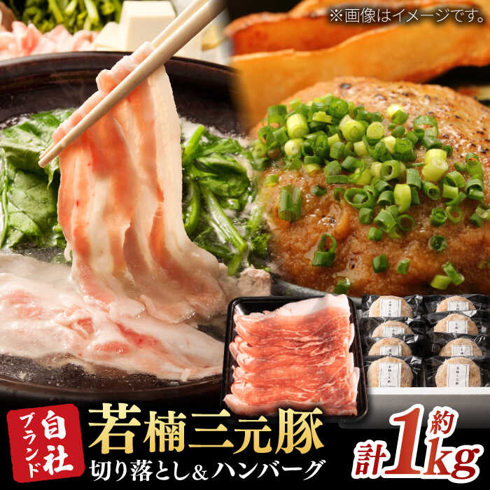 【ふるさと納税】佐賀県産 若楠三元豚 切り落とし ハンバーグセット 約1kg / 国産豚 食べ比べ 三元豚 簡単調理 / 佐賀県 / 株式会社ナチュラルフーズ [41AFAB001]