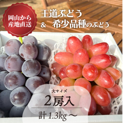 岡山県産 【数量限定】王道ぶどう＆希少品種の赤色ぶどう 大サイズ2房入/計1.3kg～【配送不可地域：離島】【1517629】