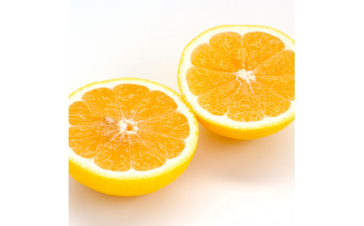 ＜厳選・先行予約＞自然の味をそのままに旨味の塊ハウス