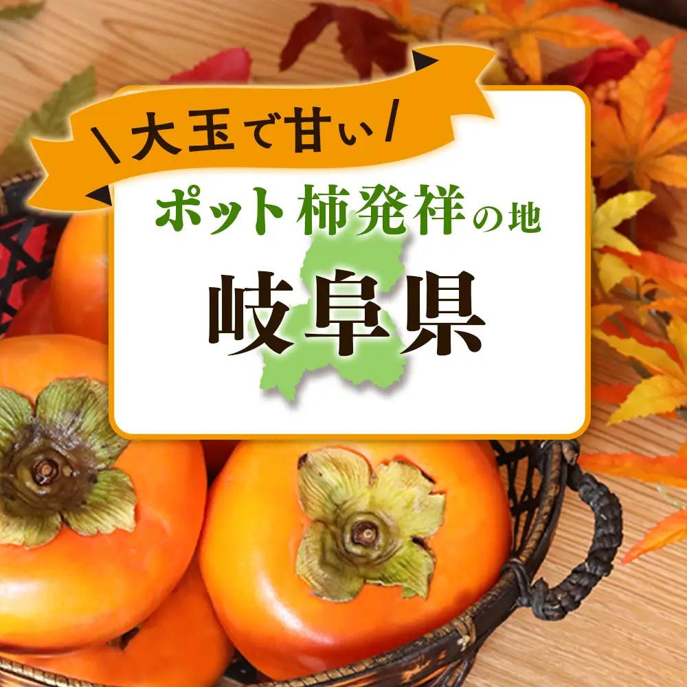 【先行予約】こだわり栽培ポット柿（太秋柿） 3Lサイズ9個入り ※離島への配送不可  ※2026年10月中旬～11月上旬頃に順次発送予定