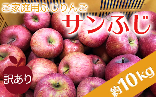 【2026年1月発送】ご家庭用訳ありリンゴ（サンふじ）約10kg_H085(R7)-2