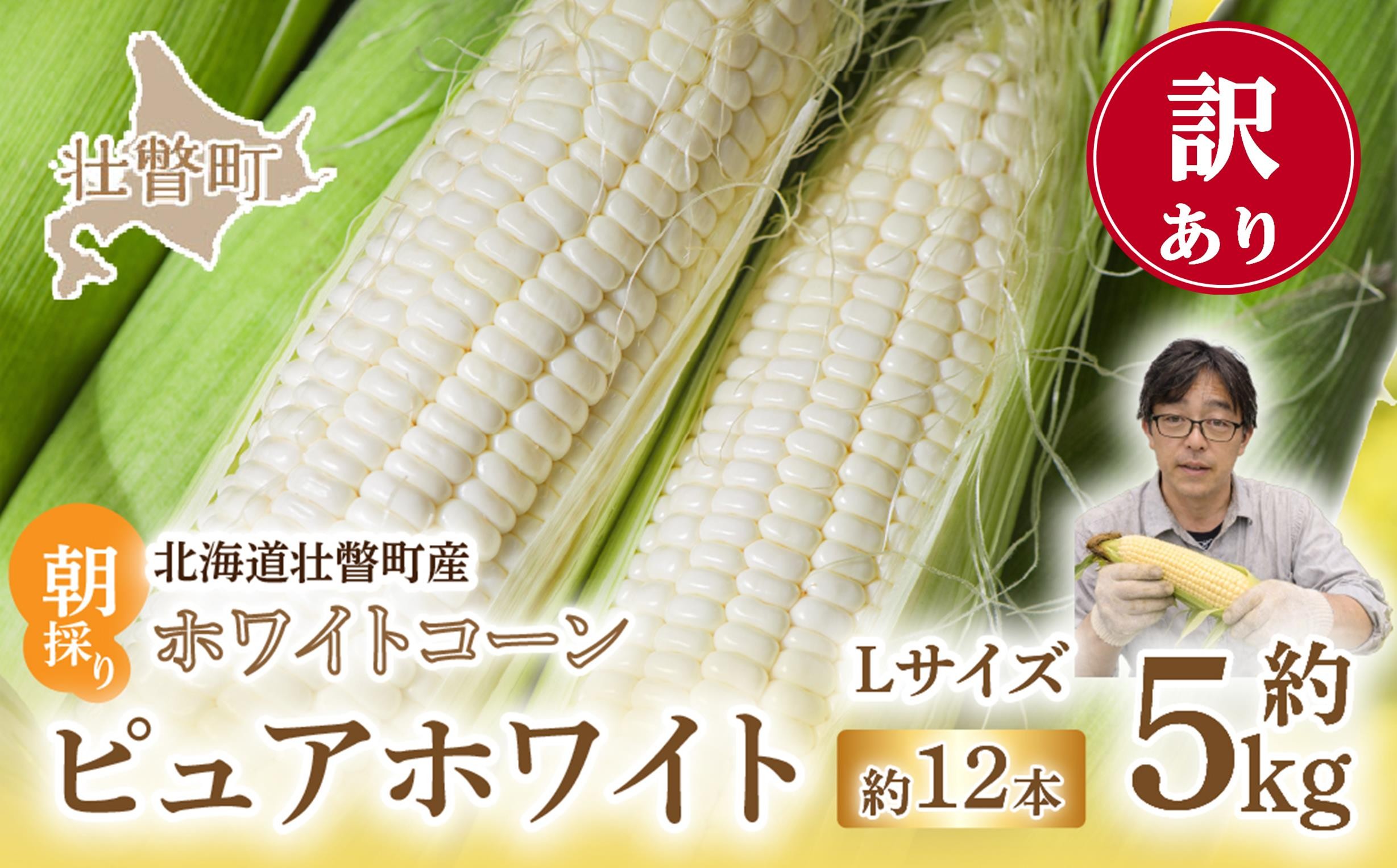 
                  ＜2026年8月中旬頃よりお届け＞【訳あり】【朝採り】ピュアホワイト（ホワイトコーン）Lサイズ以上12本(約5kg)   【 とうもろこし とうきび トウモロコシ 甘い スイーツ デザート ピュアホワイト コーン 人気 野菜 産地直送 新鮮 北海道 壮瞥町 規格外 ワケあり おすすめ 】 SBTQ016
                