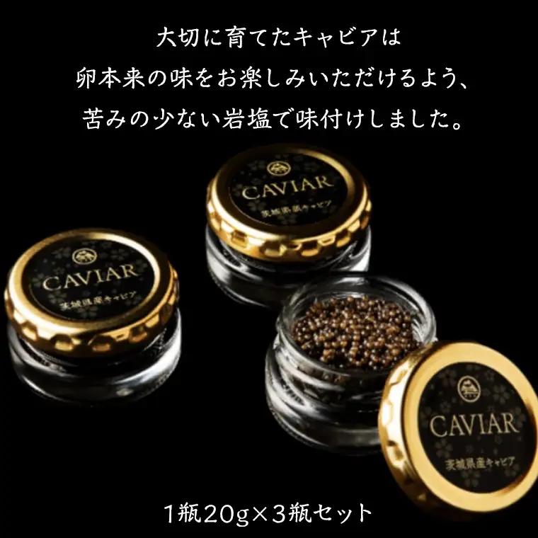 キャビア 詰め合わせ セット 20g×3 キャビア  高級食材  記念日 誕生日 世界三大珍味 国産キャビア 茨城県産 茨城 [AI001sa]