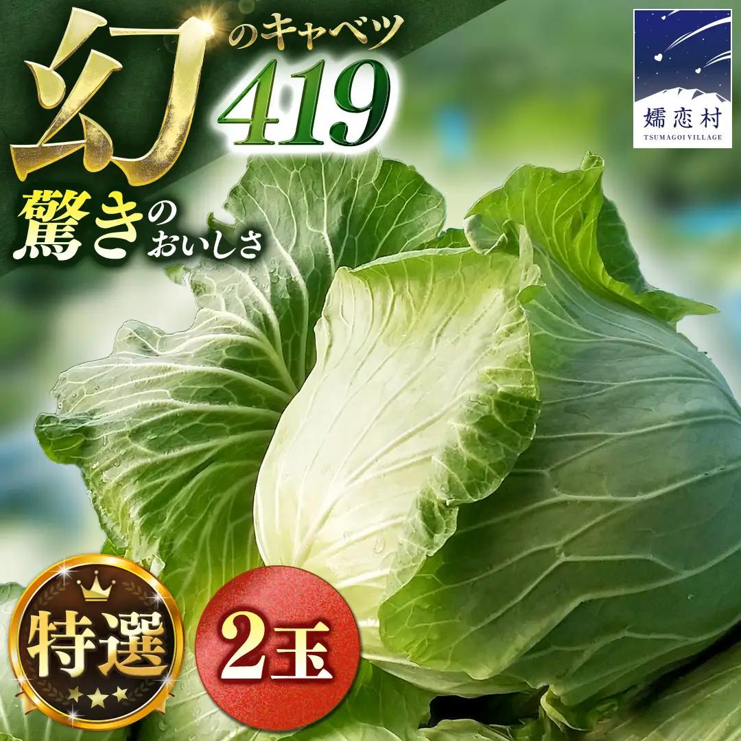 ＜7月中旬発送開始＞ 【 特選 】 まぼろしの419キャベツ 2玉 [AL020tu]