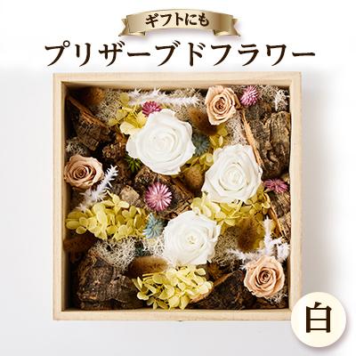 ふるさと納税 日出町 プリザーブドフラワー白
