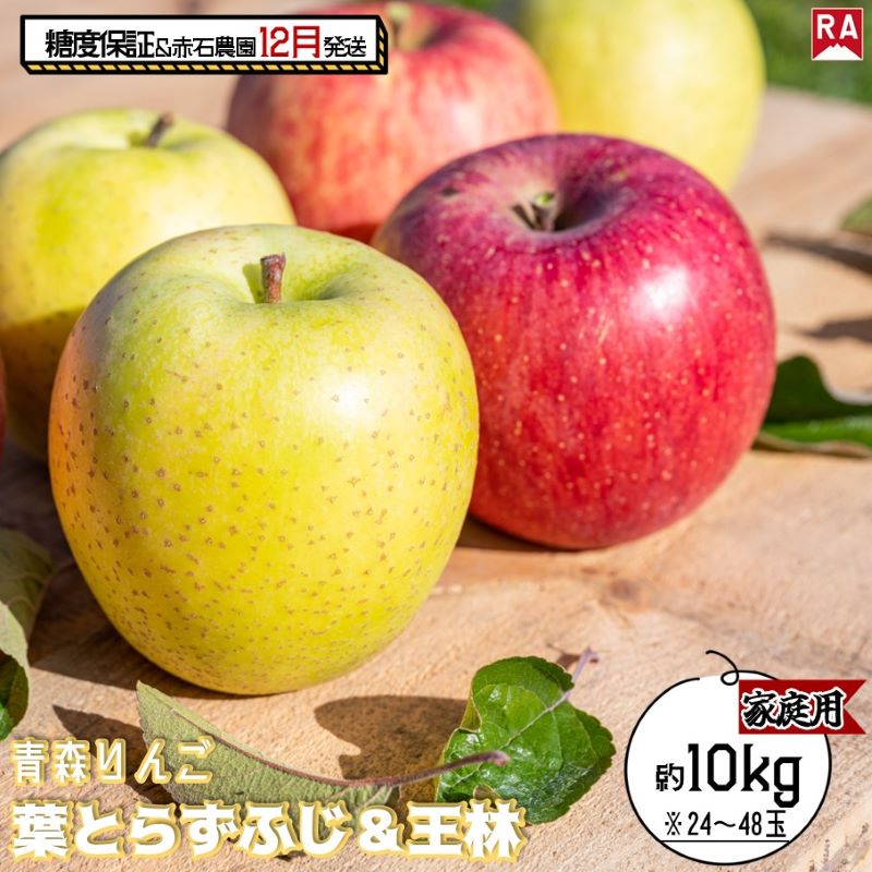 【ふるさと納税】りんご 【 12月発送 】 13度糖度保証 家庭用 蜜入り 葉とらず ふじ ＆ 王林 約 10kg 【 弘前市産 青森りんご 果物 フルーツ 食後 デザート 旬の果物 旬のフルーツ りんご食べ比べ 】　お届け：2025年12月1日～2025年12月27日