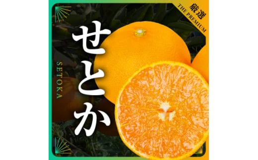 三代目の柑橘の大トロ＜せとか＞4kg　サイズ:L～4L混合＜E31-52＞【1631010】