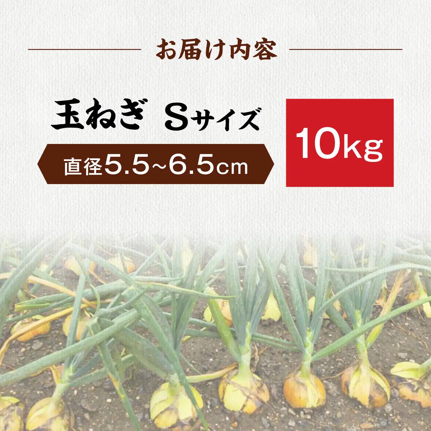 【先行予約】玉ねぎ10kg（Sサイズ） 滋賀県長浜市/柏本農園株式会社[AQDZ009]