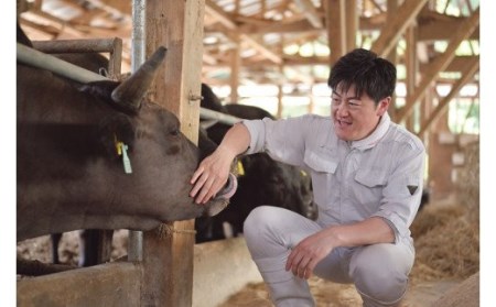 H11　先崎畜産　新発田牛ロース（焼肉用）500ｇ×２