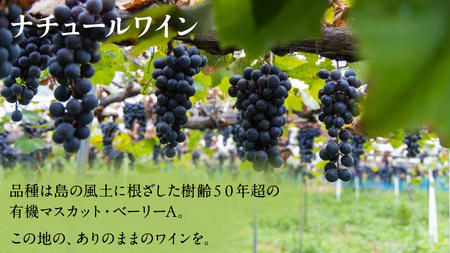 島の アサリ と 島の ワイン の セット