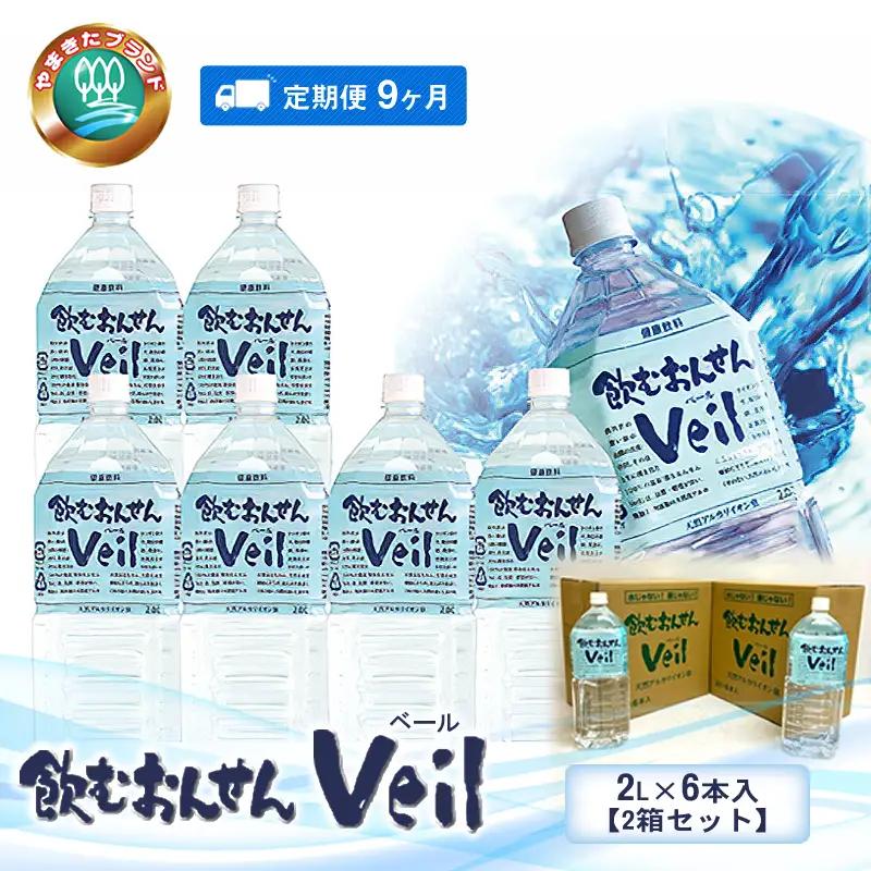 【定期便9ヶ月】飲むおんせんベール2L×6本入【2箱セット】【 温泉水 温泉純度100％ 保存水 防災 神奈川県 山北町 】