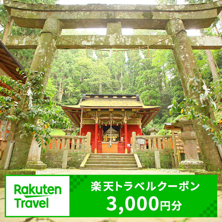 【ふるさと納税】愛知県新城市の対象施設で使える楽天トラベルクーポン 寄付額10,000円（クーポン額3,000円）