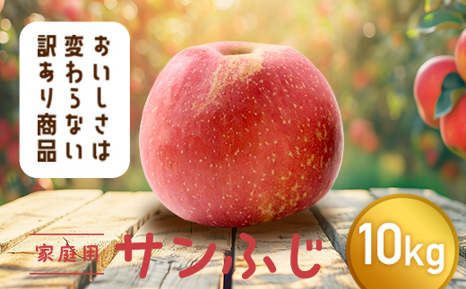 【令和8年産先行予約】 〈訳あり品 家庭用〉 りんご 「サンふじ」 約10kg バラ詰め 《令和8年12月上旬～令和9年2月下旬発送》 『カネタ高橋青果』 リンゴ 山形県 南陽市 [1959]