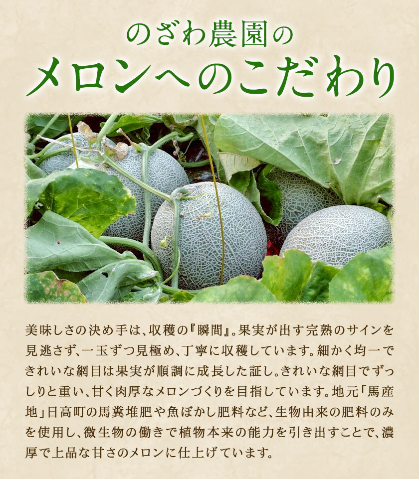先行予約 日高メロン  2玉 のざわ農園 《7月上旬-8月中旬出荷》2026年 7月出荷 北海道 日高町産 赤肉メロン 青肉メロン 旬 果物 フルーツ めろん デザート 産地直送 お取り寄せ グルメ 