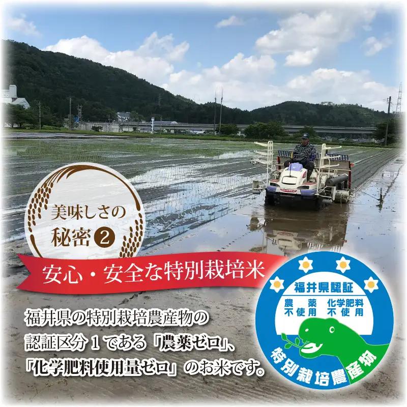 令和8年度産 コシヒカリ 10kg 玄米 特別栽培米 コシヒカリ