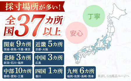 【御幸オリジナル生地】【全国30カ所以上で採寸可】【選べるオプション】イージーオーダースーツお仕立券＜御幸毛織＞[CAN021]