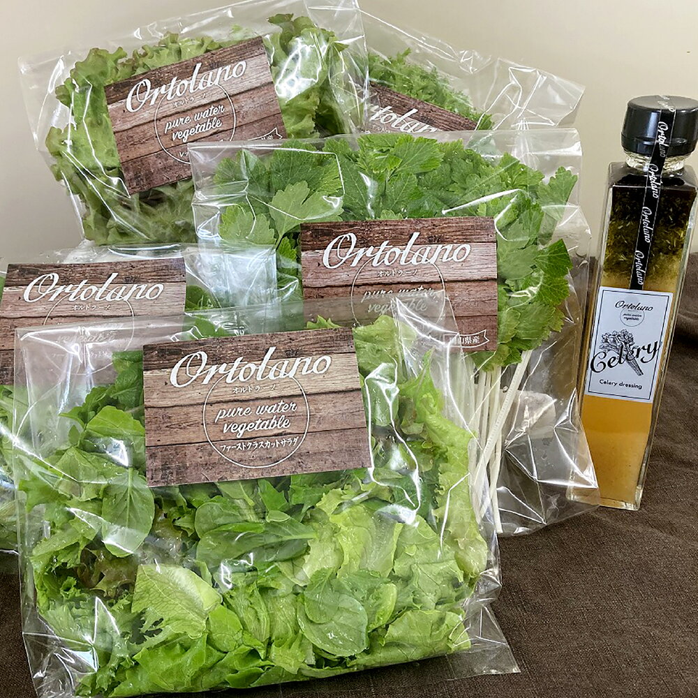 【ふるさと納税】＜選べるセット内容＞【Ortolano】ファーストクラスのサラダ＆セロリドレッシングセット S-1 / S-2 ファーストクラスカットサラダ おすすめ野菜 セロリドレッシング バジリスタバジルビネガー 野菜 やさい サラダ 調味料 冷蔵 岡山県 倉敷市 送料無料
