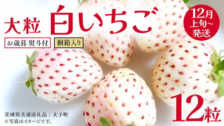 【 お歳暮 熨斗付き 】 桐箱入り 大粒 白いちご 12粒【2025年12月上旬発送開始】(茨城県共通返礼品：大子町) いちご 苺 果物 フルーツ 果実 贈答用 ギフト 贈り物