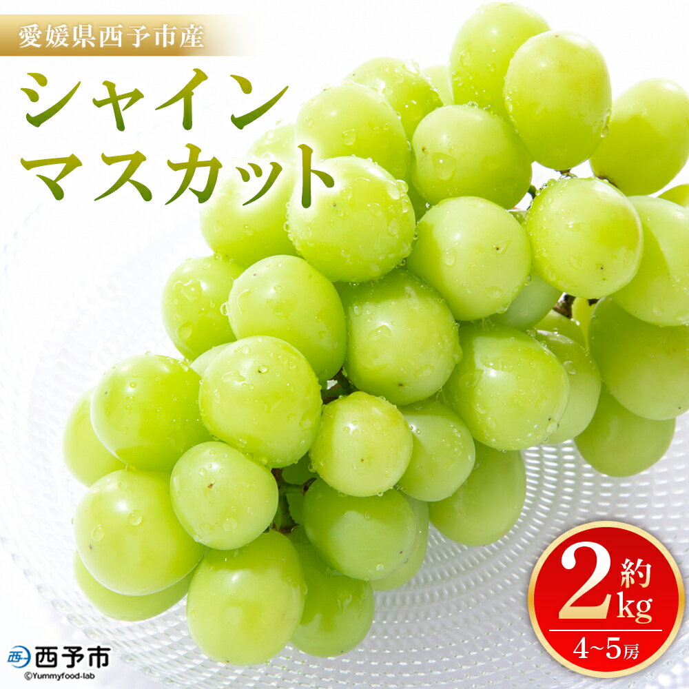 【ふるさと納税】＜シャインマスカット 約2kg＞ 果物 くだもの フルーツ ぶどう 葡萄 ブドウ シャインマスカット しゃいんますかっと 4～5房 大粒 糖度 極上 種なし 甘い 皮ごと 特産品 ファームNINOMIYA 愛媛県 西予市【冷蔵】『2025年8月下旬～9月中旬迄に順次出荷予定』